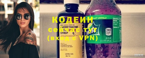 сатива Краснослободск
